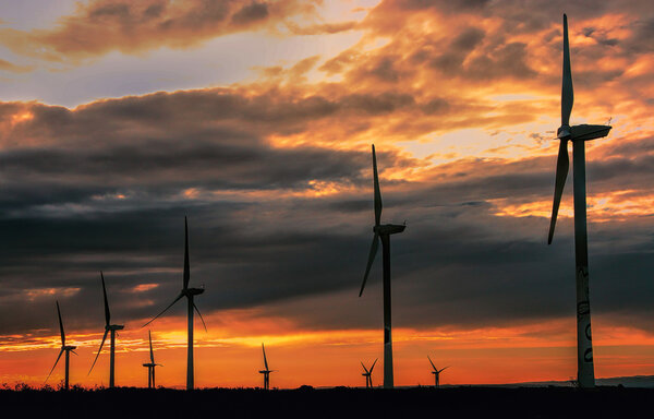Renewable Wind Energy