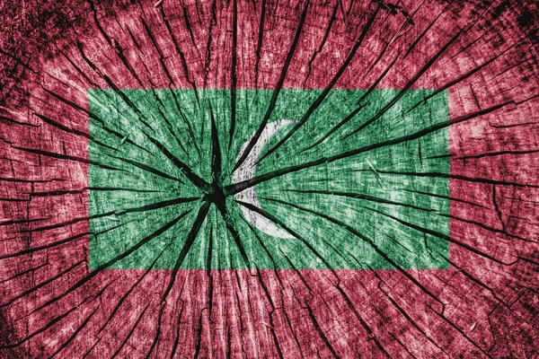 国旗的马尔代夫 — 图库照片