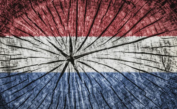 Flagge der Niederlande — Stockfoto