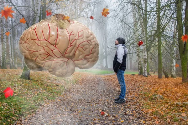 Een Man Een Autumlandschap Voor Een Gigantisch Menselijk Brein Hersenen — Stockfoto