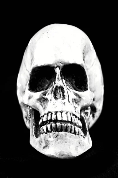 Old Human White Skull Including Teeth Human Skull Finding Human — Stock Photo, Image