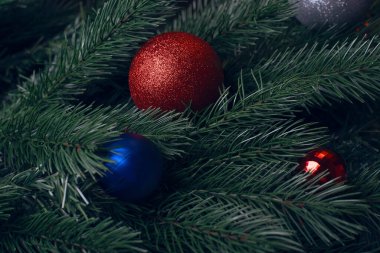 Farklı renklerde Noel oyuncaklarıyla süslenmiş ladin dallarının arka planı. Doku ve arkaplan.