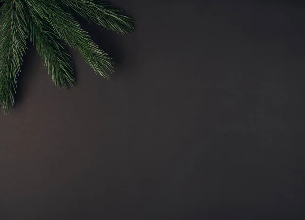 Siyah arka planda Noel ağacı dalları. Mesaj için yer var. Düz yatıyordu