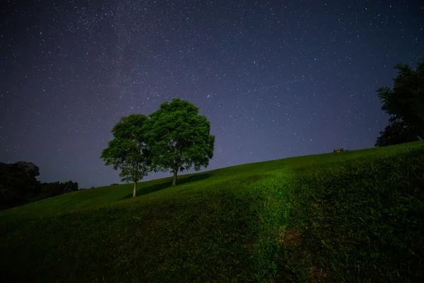 Paisagem noturna cênica de duas grandes árvores com muitas estrelas no céu — Fotografia de Stock