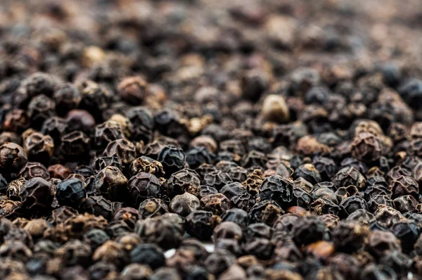 Black peppercorns — Stock Photo, Image