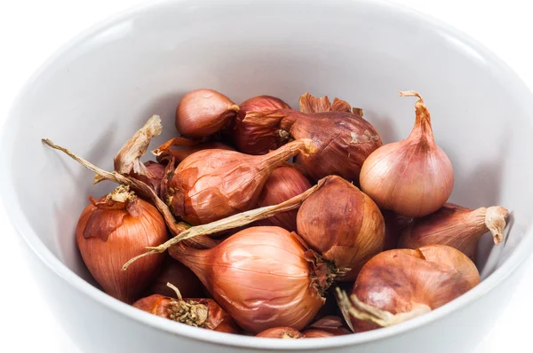 Detail garlics žárovky — Stock fotografie