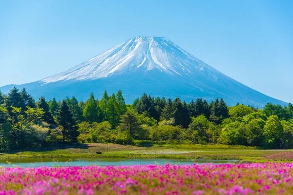 Dağ Fuji pembe moss sakura veya cher bulanık ön plan ile