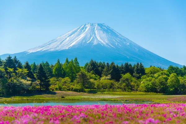 Berg-Fuji mit verschwommenem Vordergrund aus rosa Moos-Sakura oder Cher Stockbild