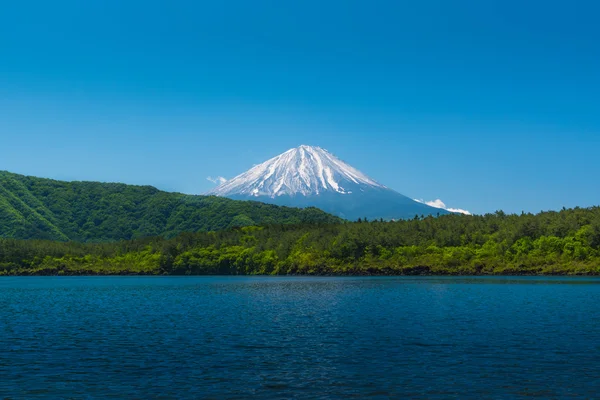 Mount Fuji behide skogen med blå sjö — Stockfoto