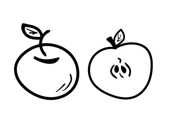 Black White Representation Cross Section Sketch Apple Vector Illustration — 스톡 벡터