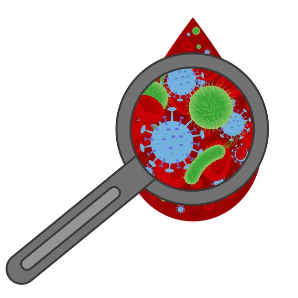 放大镜下的滴血 装有感染或病毒的 隔离的病媒图解 — 图库矢量图片