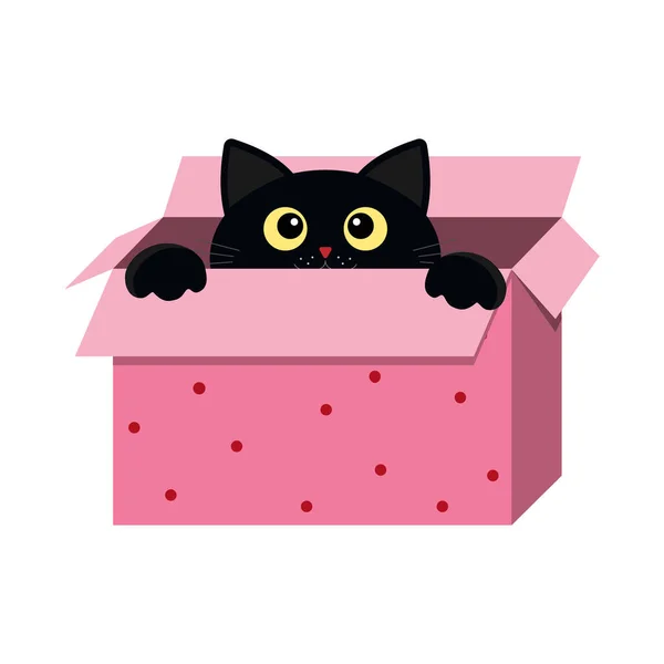 Czarny Kotek Zerkający Ozdobionego Pudełka Kolor Izolowany Wektor Ilustracja Dla — Wektor stockowy