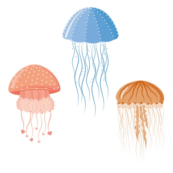 Beyaz arkaplanda izole edilmiş çok renkli denizanası kümesi, renk vektörü çizimi