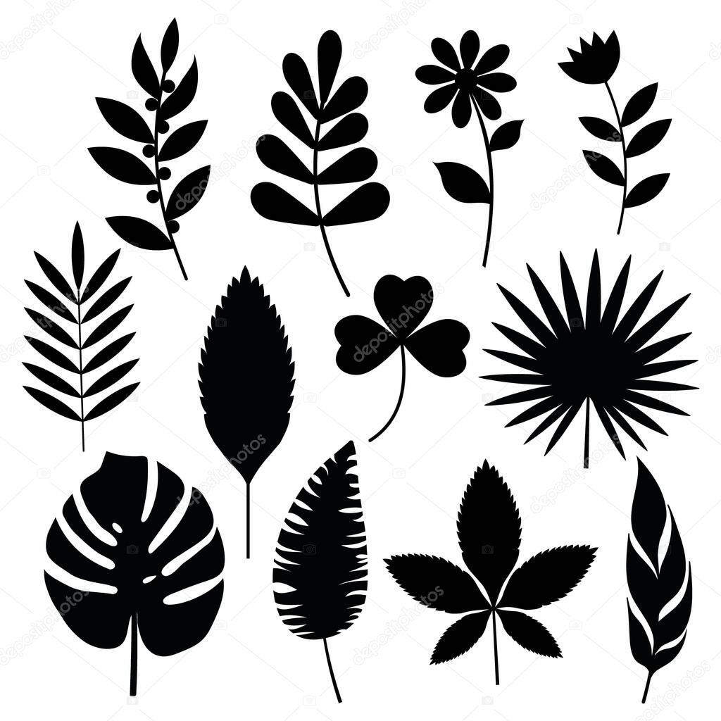 Set of leaves black stencil, vector isolated illustration.