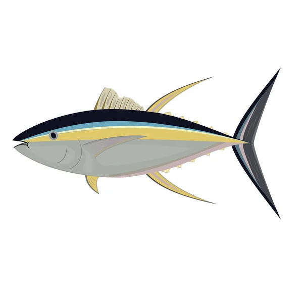 Tuňák ryby izolované na bílém pozadí, barevný vektor ilustrace — Stockový vektor