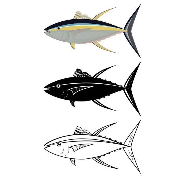 Tuňák v barvě, obrys a šablona, barevný vektor ilustrace — Stockový vektor