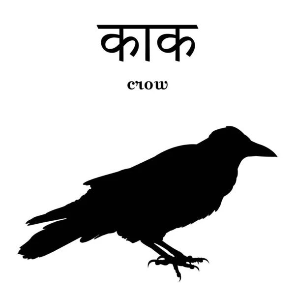 サンスクリット語と英語の碑文を持つカラスのシルエット 白で隔離されてる ベクターイラスト — ストックベクタ