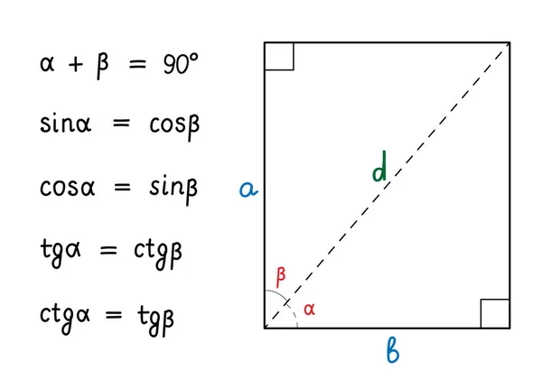 Základní Trigonometrické Identity Vzorce Pro Výpočet Sinus Kosinus Tangens Kotangent — Stockový vektor