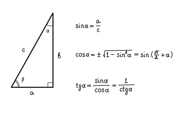 Základní Trigonometrické Identity Vzorce Pro Výpočet Sinus Kosinus Tangens Kotangent — Stockový vektor