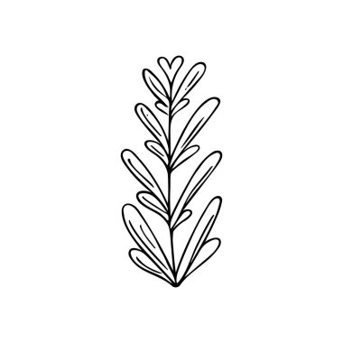 El yapımı bitkiler. Karalama tarzı, çizim, basit botanik çizimi, çiçek unsurlarıyla çizim, izole edilmiş. Vektör illüstrasyonu..