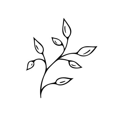 El yapımı bitkiler. Karalama tarzı, çizim, basit botanik çizimi, çiçek unsurlarıyla çizim, izole edilmiş. Vektör illüstrasyonu..