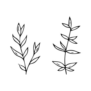 El yapımı bitkiler. Karalama tarzı, çizim, basit botanik çizimi, çiçek unsurlarıyla çizim, izole edilmiş. Vektör illüstrasyonu..