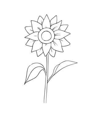 El yapımı çiçek, ayçiçeği. Basit botanik çizimi, çizgi, çiçek çizimi, minimalizm. Doodle tarzı. Beyaz bir arkaplanda izole edilmiş. Vektör illüstrasyonu..