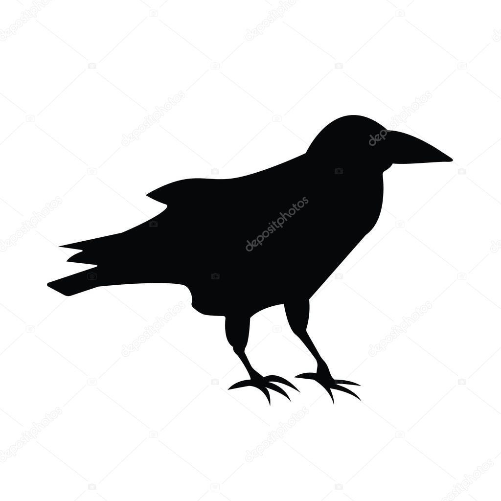 Silhouettes of raven.Isolated image on a white background.Black outline of birds for your design. Vector illustration