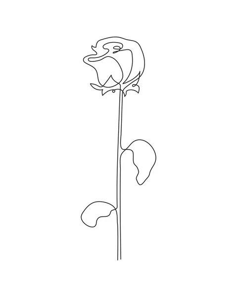 Handgezeichnete Blume Einzeilige Kunst Stilisierte Rosenkontur Doodle Skizzenstil Minimalismus Isolatedvector — Stockvektor