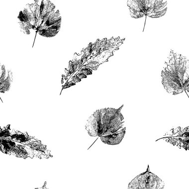 Yapraksız iz. Kağıt üzerinde el yapımı guaj izleri. Boya izleri, pullar. Tasarımın için sonbahar duvar kağıdı. Frotaj teknikleri kullanılarak yapıldı. İzole edildi. Vektör illüstrasyonu