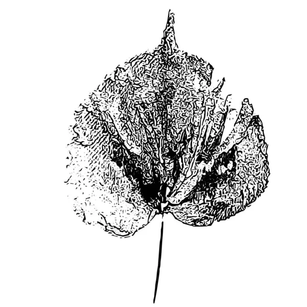 叶子的印记 手工做的粉刺印在纸上油漆的印象 秋天的照片为您的设计 使用青蛙技术制成的 孤立的 矢量说明 — 图库矢量图片