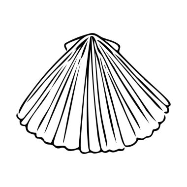 Deniz kabuğu, elle çizilmiş deniz sembolü. Mürekkep ve kalemle boyanmış fosil deniz kabuğu. Çizgi, minimalizm. Basit bir taslak simgesi. İzole edilmiş. Vektör illüstrasyonu.