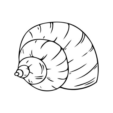 Deniz kabuğu, elle çizilmiş deniz sembolü. Mürekkep ve kalemle boyanmış fosil deniz kabuğu. Çizgi, minimalizm. Basit bir taslak simgesi. İzole edilmiş. Vektör illüstrasyonu.