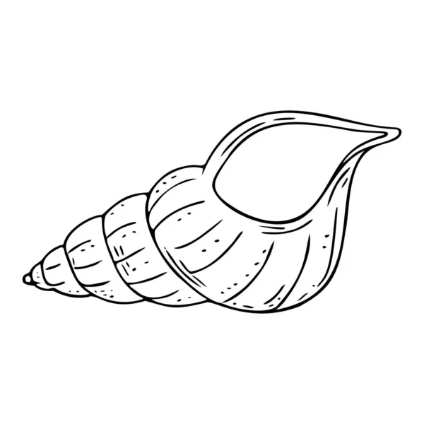 Concha Doodle Símbolo Mar Desenhado Mão Concha Fóssil Pintada Com — Vetor de Stock