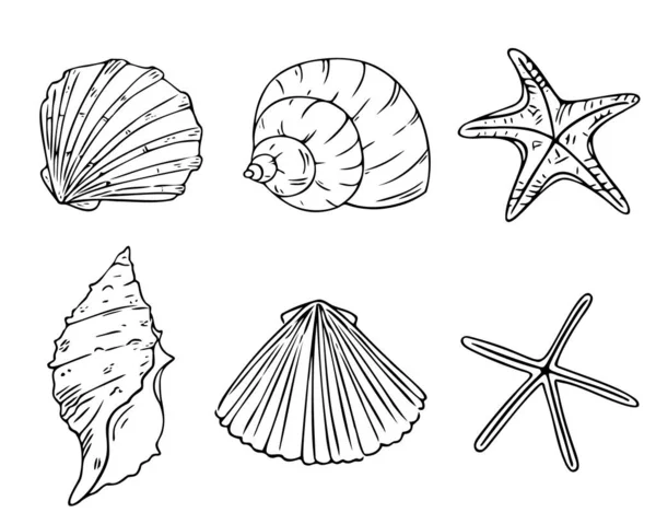 Doodle Sjöstjärnor Och Snäckskal Set Handritade Havssymboler Fossil Målade Med — Stock vektor