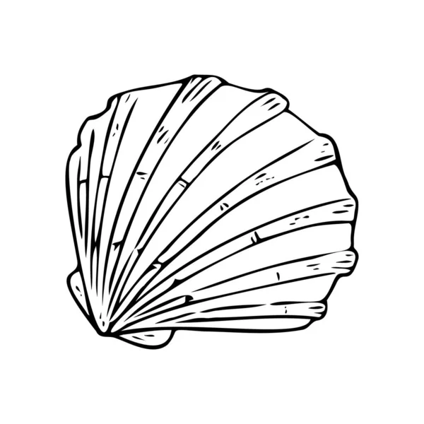 Doodle Concha Marina Símbolo Del Mar Dibujado Mano Caracola Fósil — Vector de stock