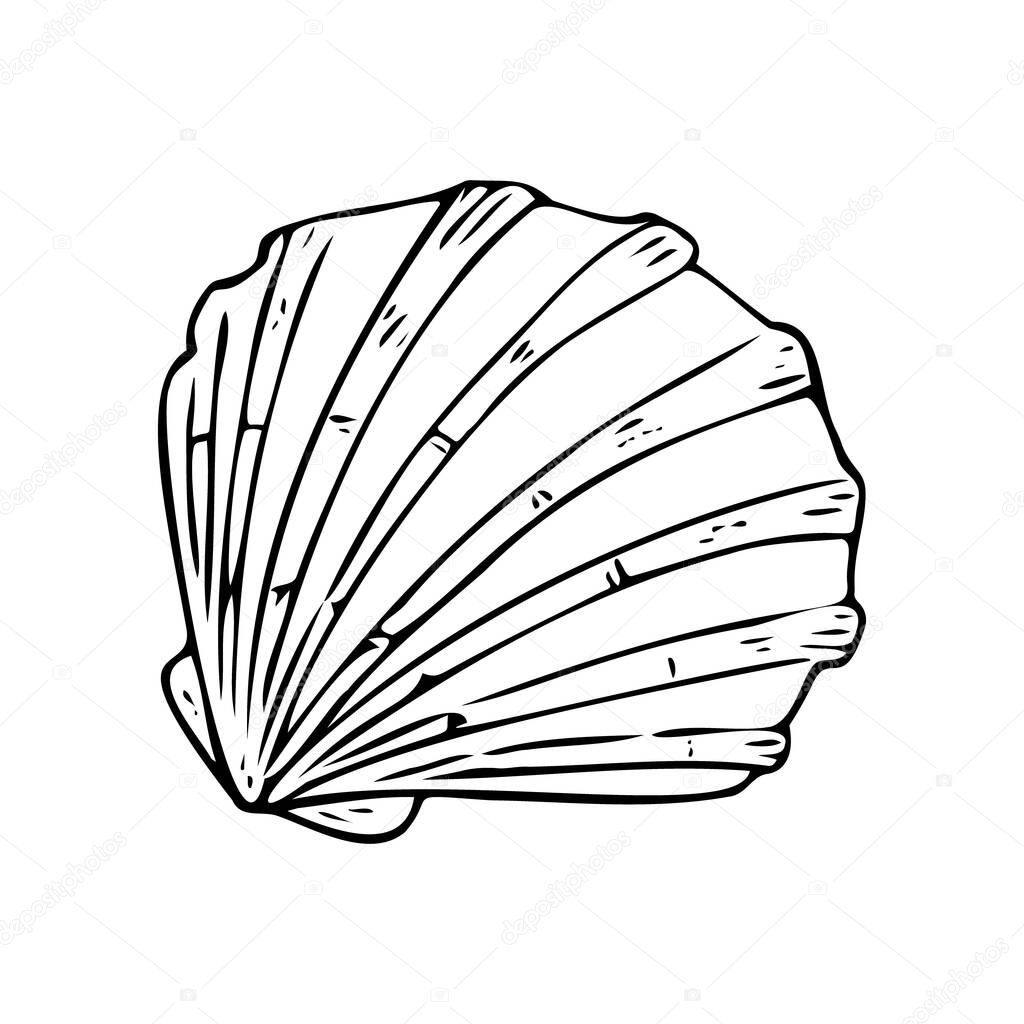 Doodle seashell, hand-drawn sea symbol. Fossil conch painted by ink, pen. Line, minimalism. Simple sketchy icon. Isolated.Vector illustration.