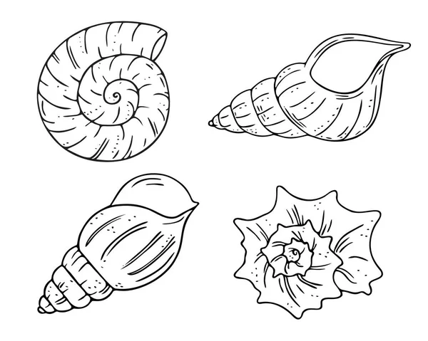 Conjunto Conchas Marinas Doodle Símbolos Del Mar Dibujados Mano Fósiles — Archivo Imágenes Vectoriales