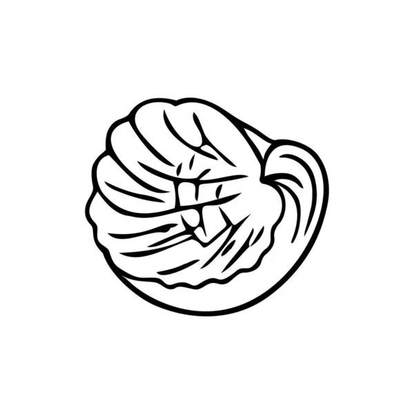 落書き貝殻 手描きの海のシンボル インクで描かれた化石の接触 ミニマリズム 簡単なスケッチアイコン 絶縁体 ベクターイラスト — ストックベクタ