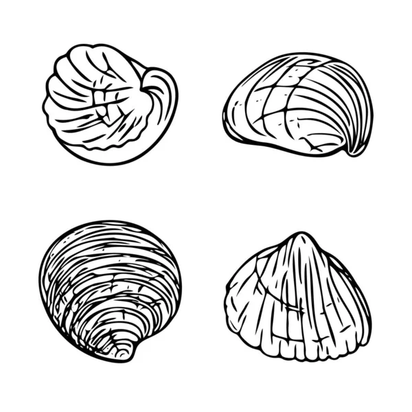 Conchas Doodle Definidas Símbolos Mar Desenhados Mão Concha Fóssil Pintada — Vetor de Stock