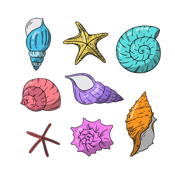 Conjunto Conchas Marinas Planas Estrellas Mar Símbolos Del Mar Dibujados — Vector de stock