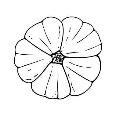 Balkabağı, Cadılar Bayramı süsü. El yapımı kabak, vejetaryen yiyecekler, düzgün beslenme, sağlıklı beslenme. Çizim, minimalizm çizgisi sanatı