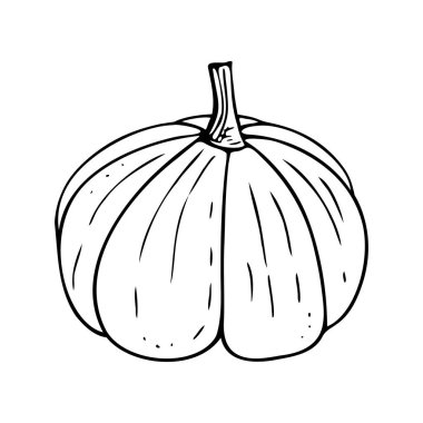 Balkabağı, Cadılar Bayramı süsü. El yapımı kabak, vejetaryen yiyecekler, düzgün beslenme, sağlıklı beslenme. Çizim, minimalizm çizgisi sanatı