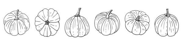 Conjunto Calabazas Doodle Decoraciones Halloween Recogida Calabazas Elaboradas Mano Comida — Vector de stock