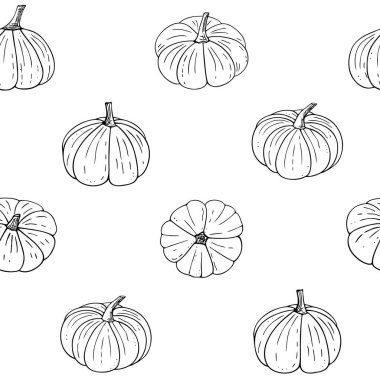 Balkabağı deseni, Cadılar Bayramı duvar kâğıdı. El çizimi Şükran Günü sukabakları, vejetaryen yemekleri, düzgün beslenme, sağlıklı beslenme. Çizgi sanatı. Vektör çizimi.