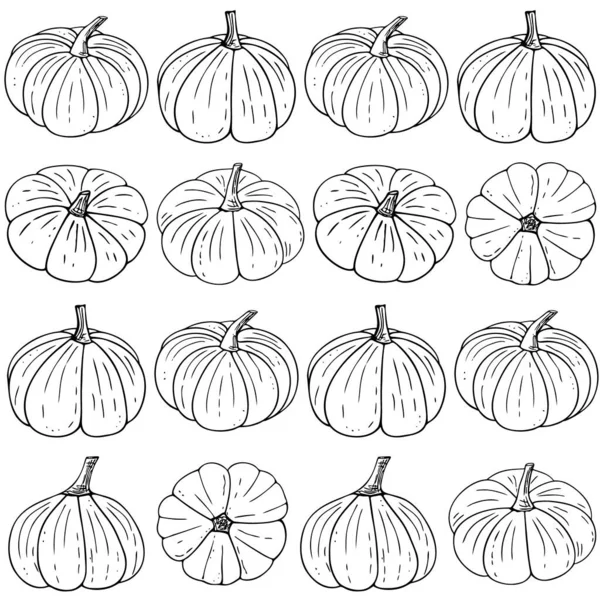 Pumpkins Pola Mulus Halloween Wallpaper Hand Ditarik Thanksgiving Labu Latar - Stok Vektor