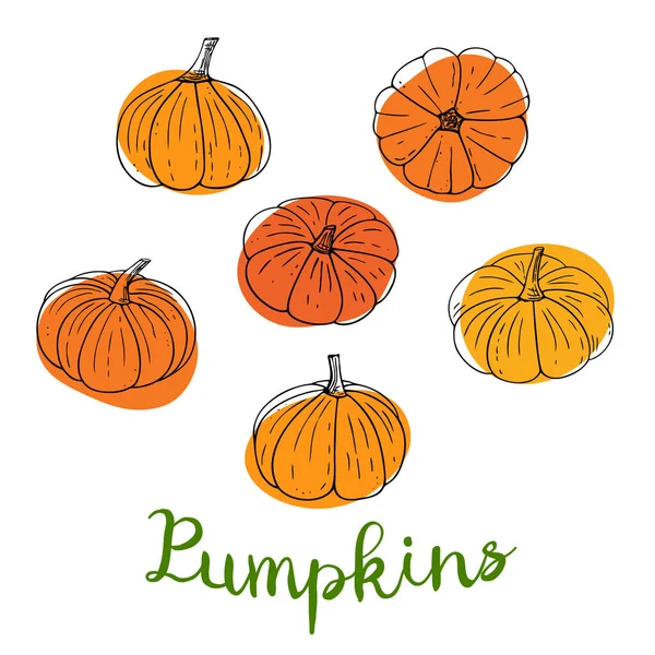 Set Doodle Pumpkins Abstract Spots Halloween Decorations Hand Drawn Thanksgiving — Stock Vector