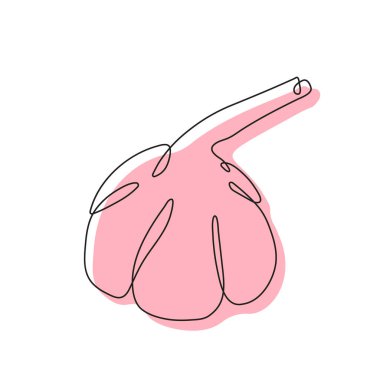 Soyut benekli sarımsak tek satırlı sanat, stilize sürekli hatlar. El çizimi taslak, tarım ürünü, baharatlı vejetaryen yiyecekler, düzgün beslenme, sağlıklı beslenme. Karalama, karalama, minimalizm..