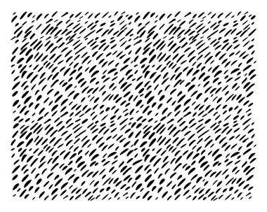 Çizgiler, sıçramalar, lekeler, çizikler, çizikler, lekeler pürüzlü çizikler. Hayvan soyut doğa baskısı. İzole edilmiş. Vektör