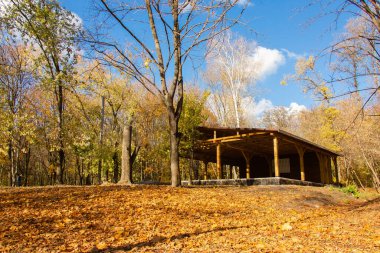 Terk edilmiş ahşap ev bu ağaçların inşaatı.